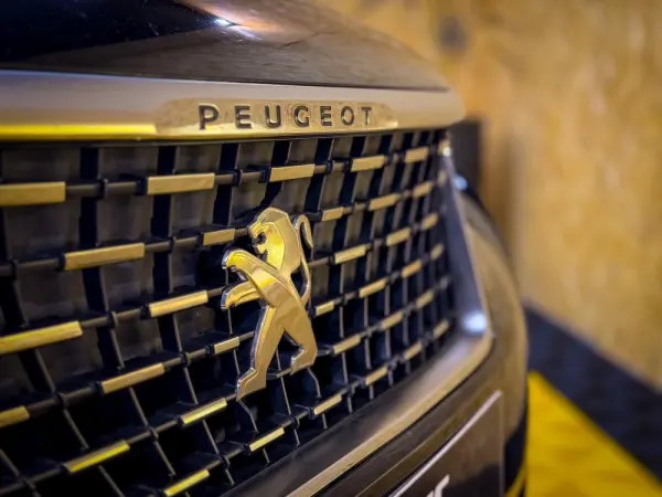 Peugeot 3008 Gt-Line 9