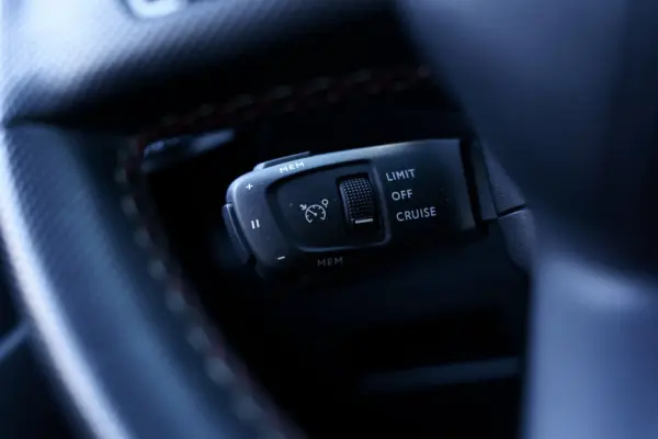 DS DS7 Crossback 2.0 BlueHDi Performance Line EAT8 29