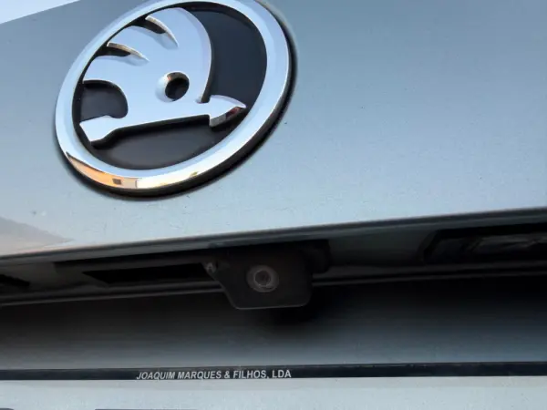 Skoda Kodiaq 2.0 TDI Ambition DSG 13