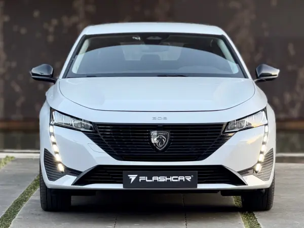 Peugeot e-308 54 kWh Style 6