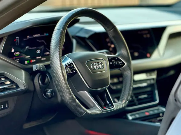 Audi e-tron GT quattro 15