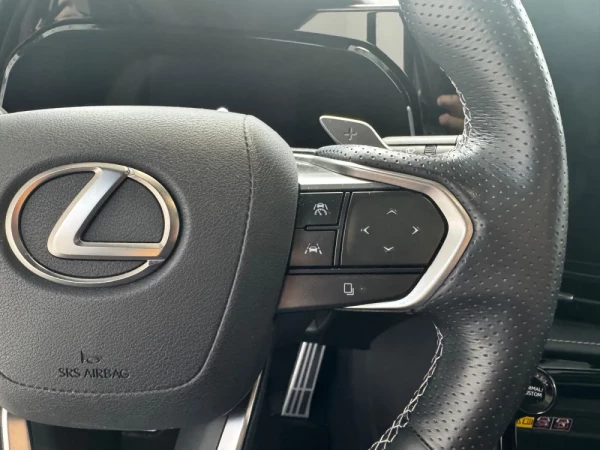 Lexus NX 450h+ 19