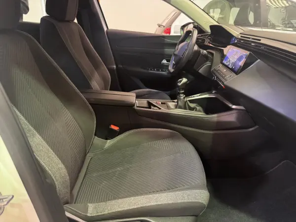 Peugeot 308 1.5 BlueHDi Active 19