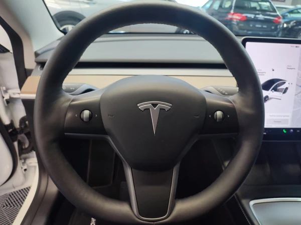 Tesla Model 3 22