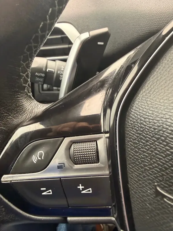 Peugeot 3008 1.6 BlueHDi Crossway EAT6 21