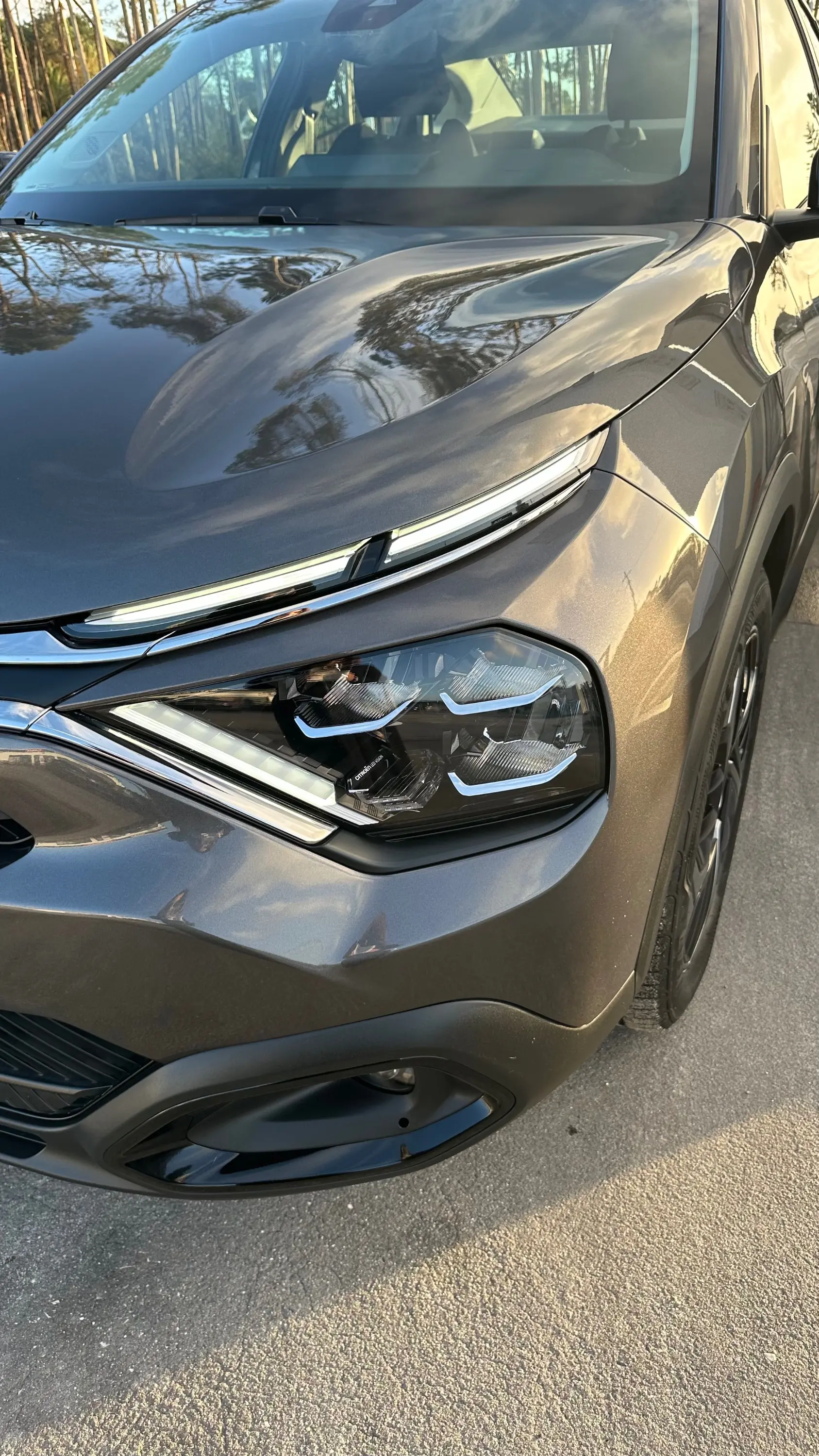 Citroën C4 X 1.2 PureTech Plus EAT8 22