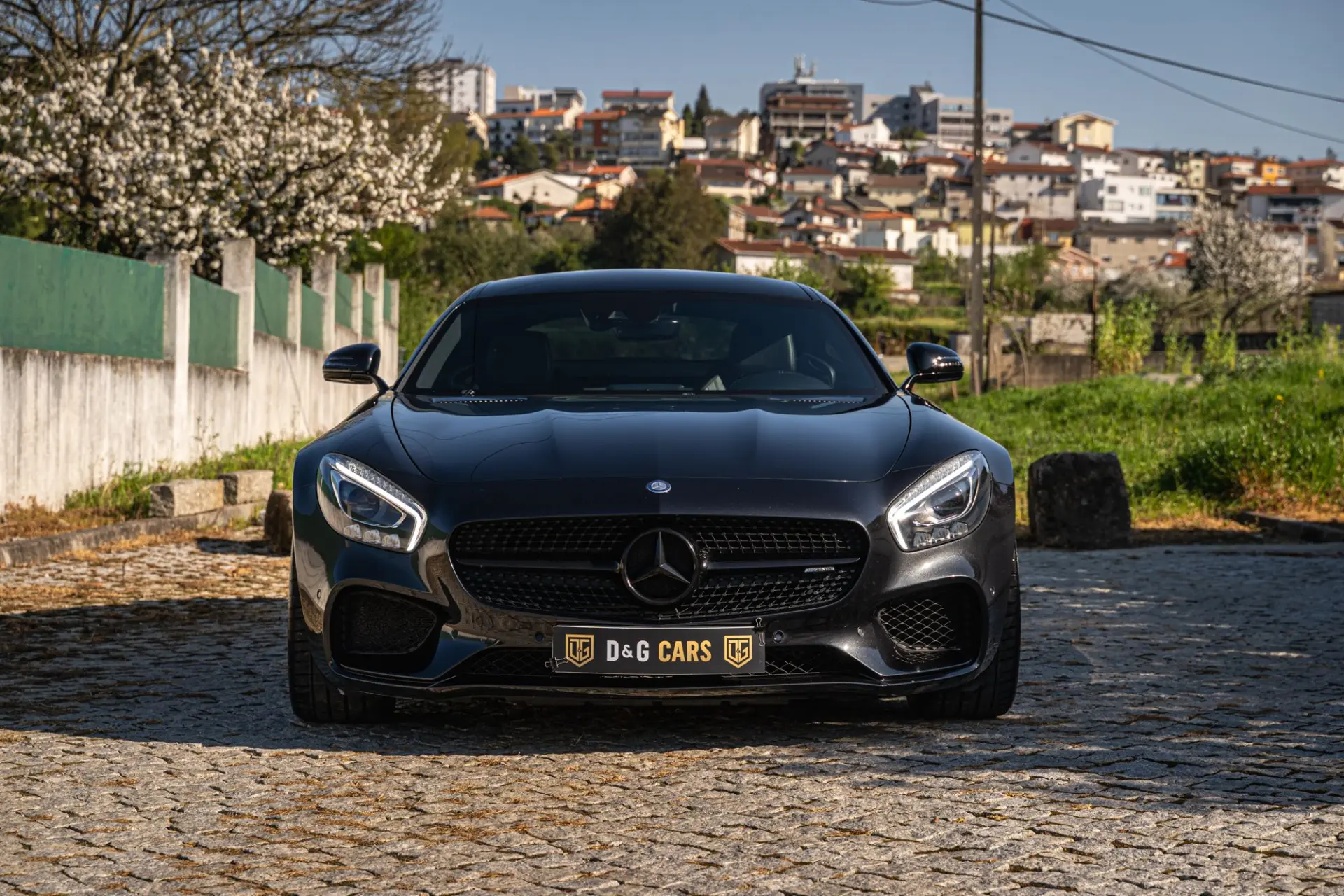 Mercedes-Benz AMG GT Speedshift 7G-DCT 17