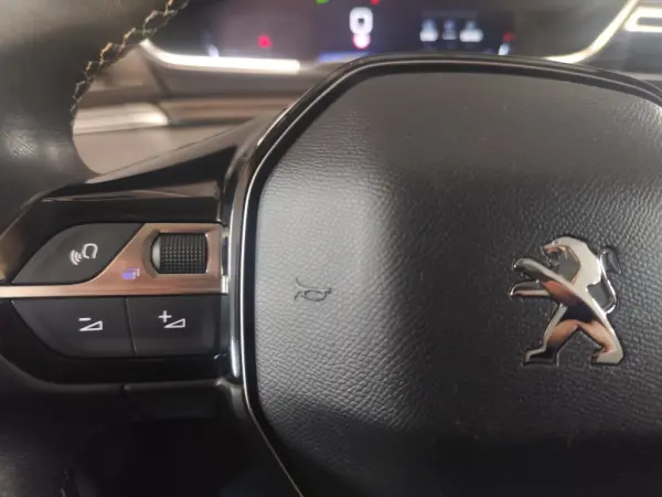 Peugeot 508 SW 1.5 BlueHDi Business Line 10