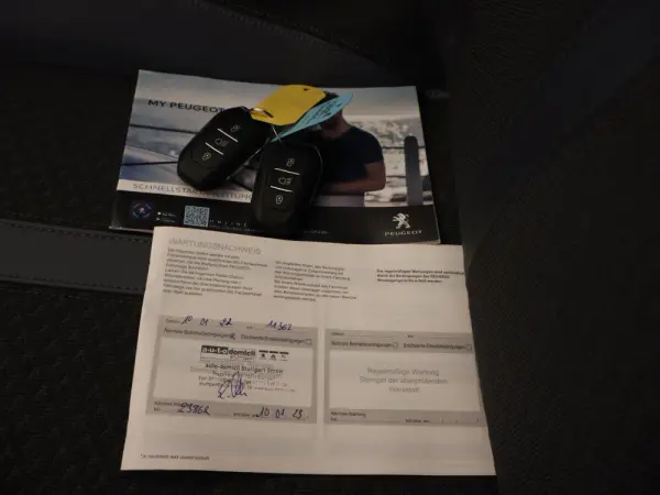 Peugeot e-2008 50 kWh Allure Pack 32