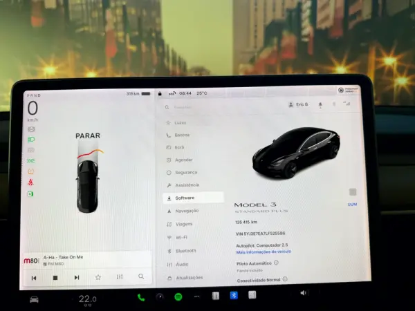 Tesla Model 3 Standard RWD Plus 22