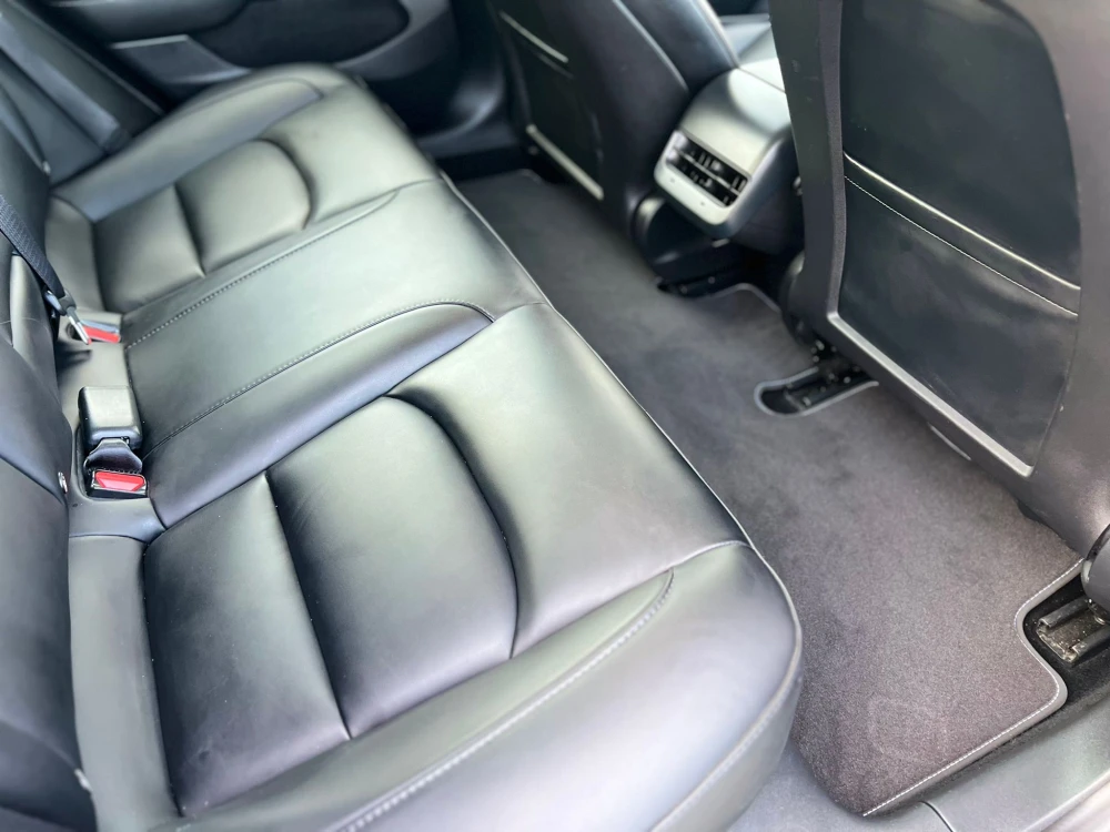 Tesla Model 3 Standard Plus 12