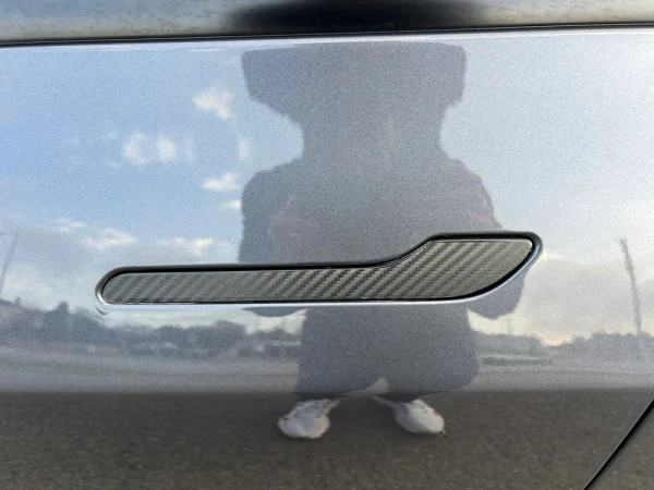 Tesla Model 3 Standard Plus 19