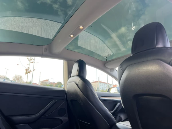 Tesla Model 3 Standard Plus 10