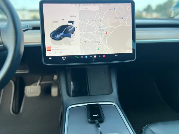 Tesla Model 3 Standard Plus 22