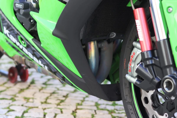 Kawasaki ZXR Zx10r  Abs 10