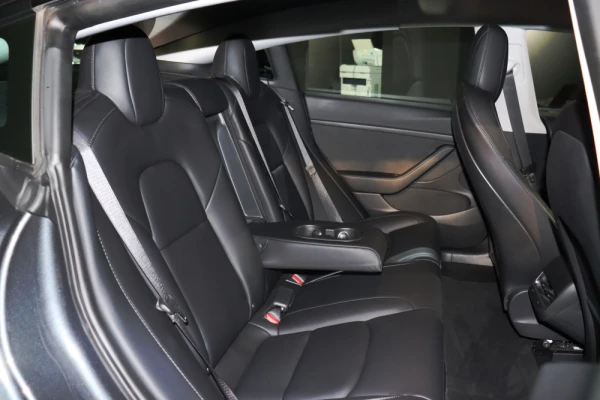 Tesla Model 3 Long Range 9