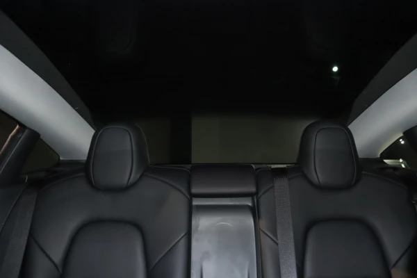 Tesla Model 3 Long Range 10