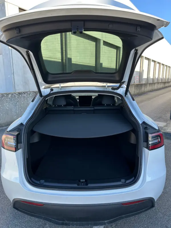 Tesla Model Y RWD 8