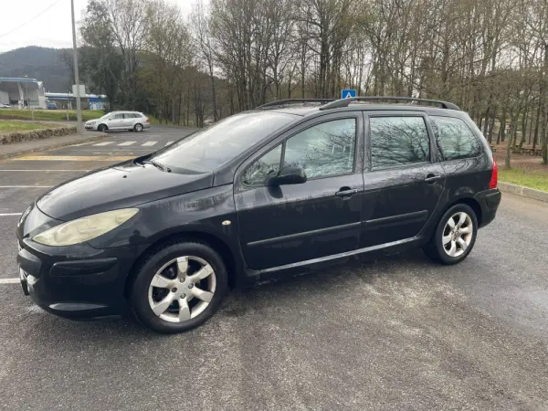 Peugeot 307 16