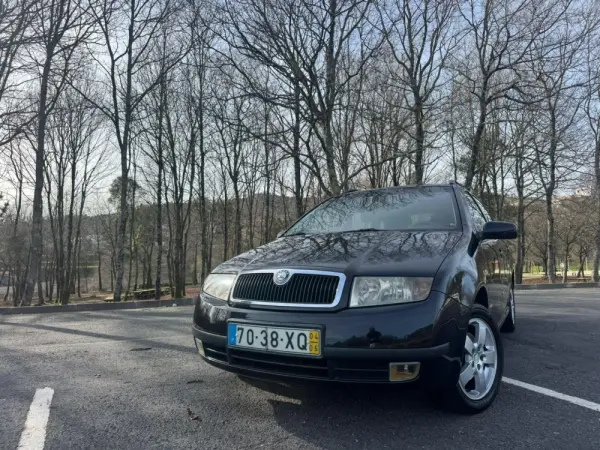 Skoda Fabia 13