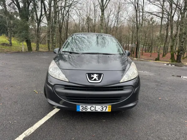 Peugeot 207 13
