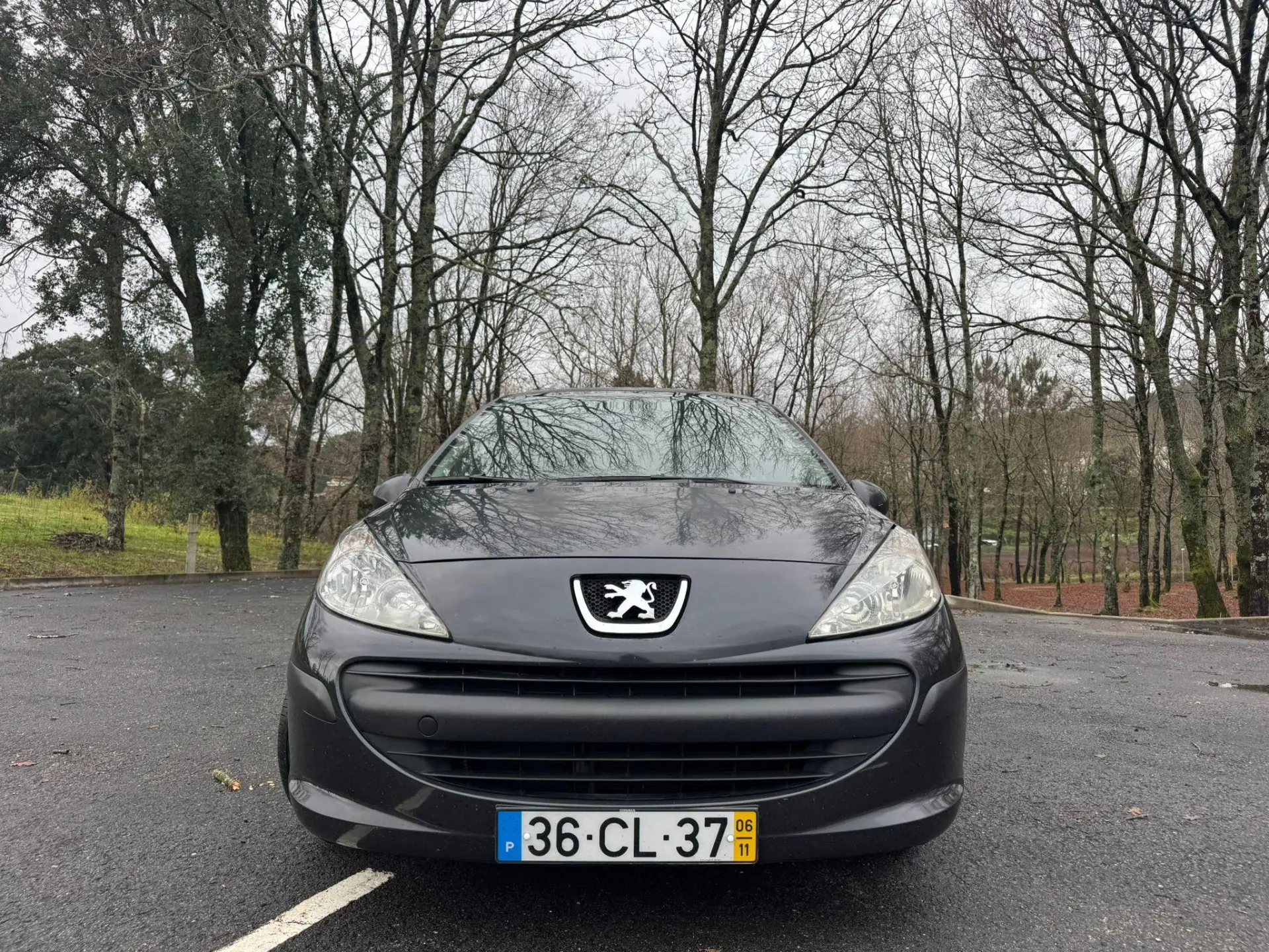 Peugeot 207 10