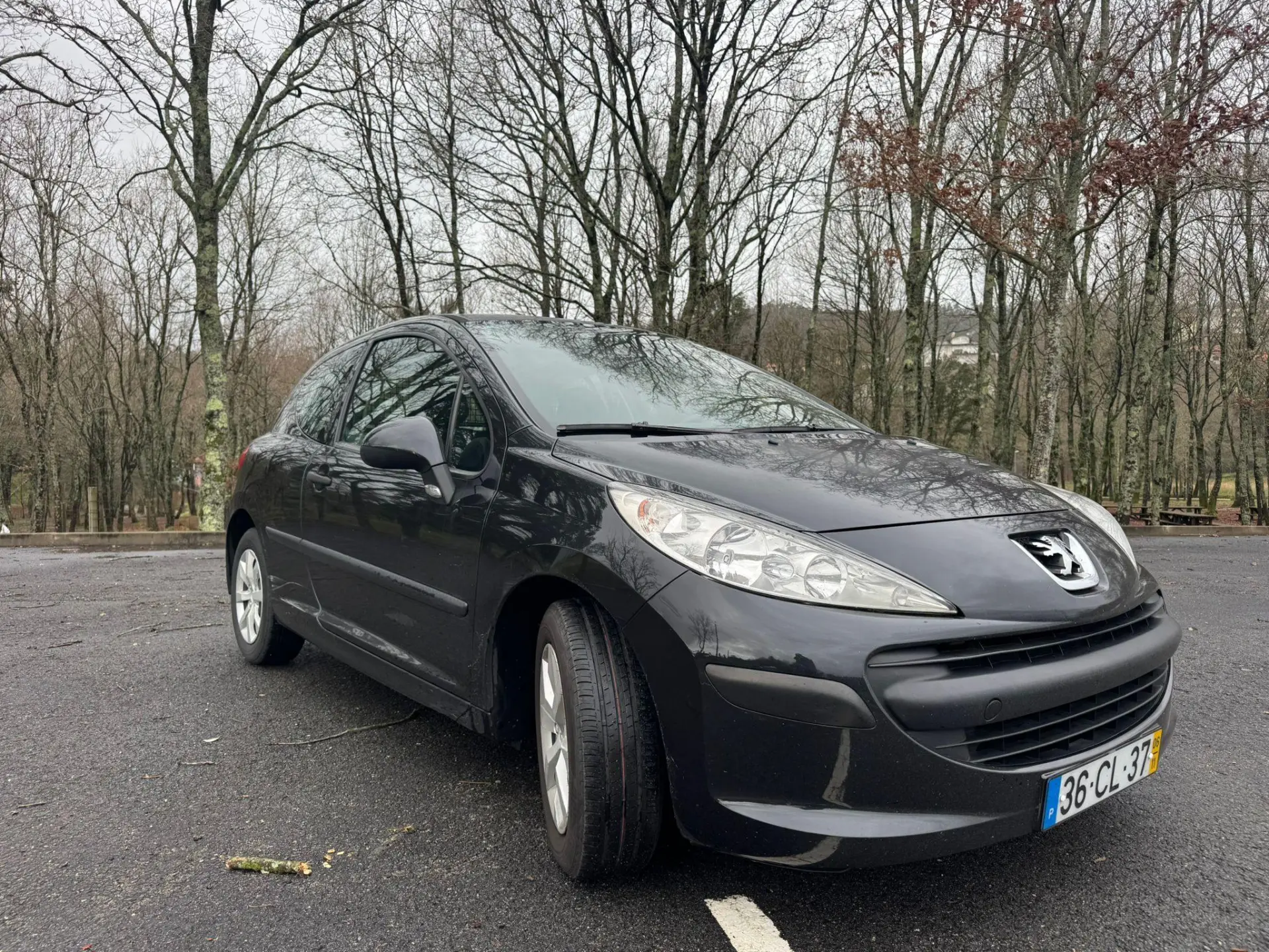 Peugeot 207 12