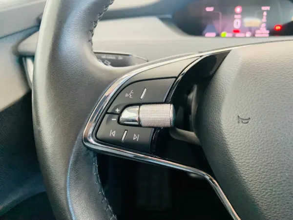 Skoda Enyaq iV 60 13