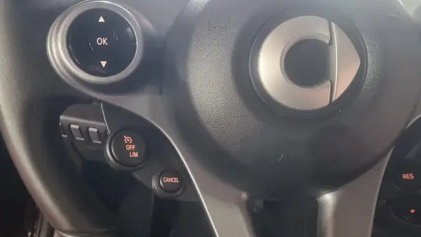 Smart ForTwo Coupé EQ Passion 17