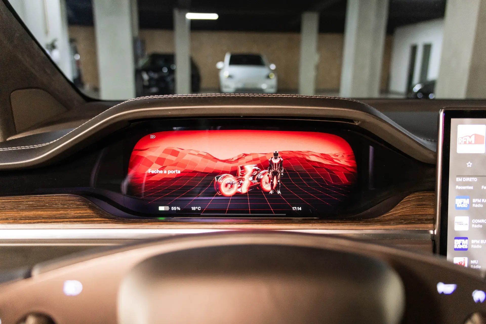 Tesla Model X Long Range AWD 21