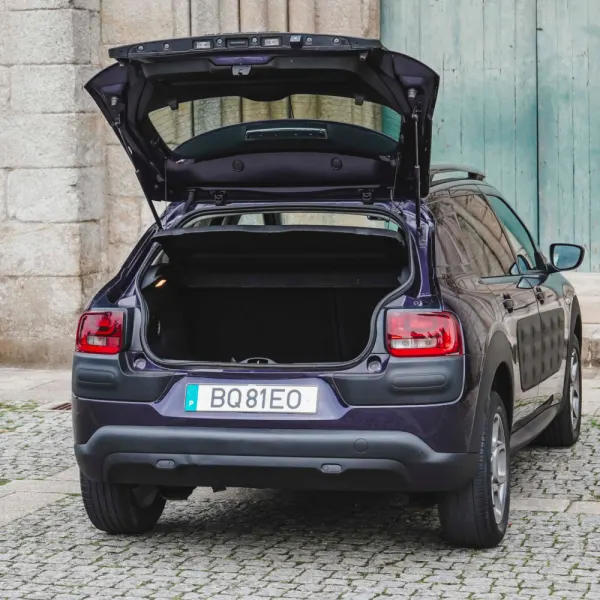 Citroën C4 Cactus 1.2 PureTech Shine 53