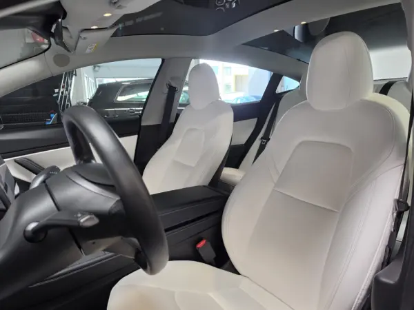 Tesla Model 3 Long Range Tração Integral Premium 14