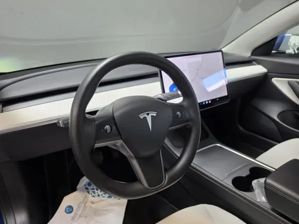 Tesla Model 3 Long Range Tração Integral Premium 28