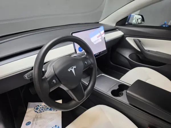 Tesla Model 3 Long Range Tração Integral Premium 18