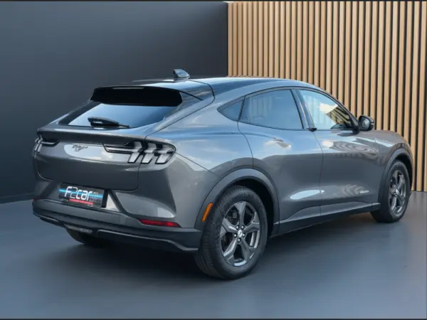 Ford Mustang Mach-E Standard 4