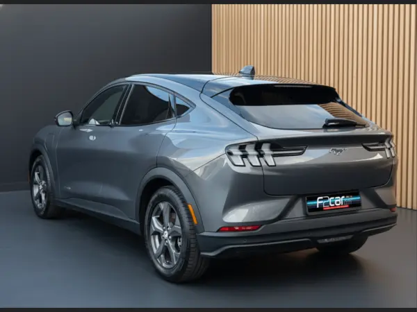 Ford Mustang Mach-E Standard 6