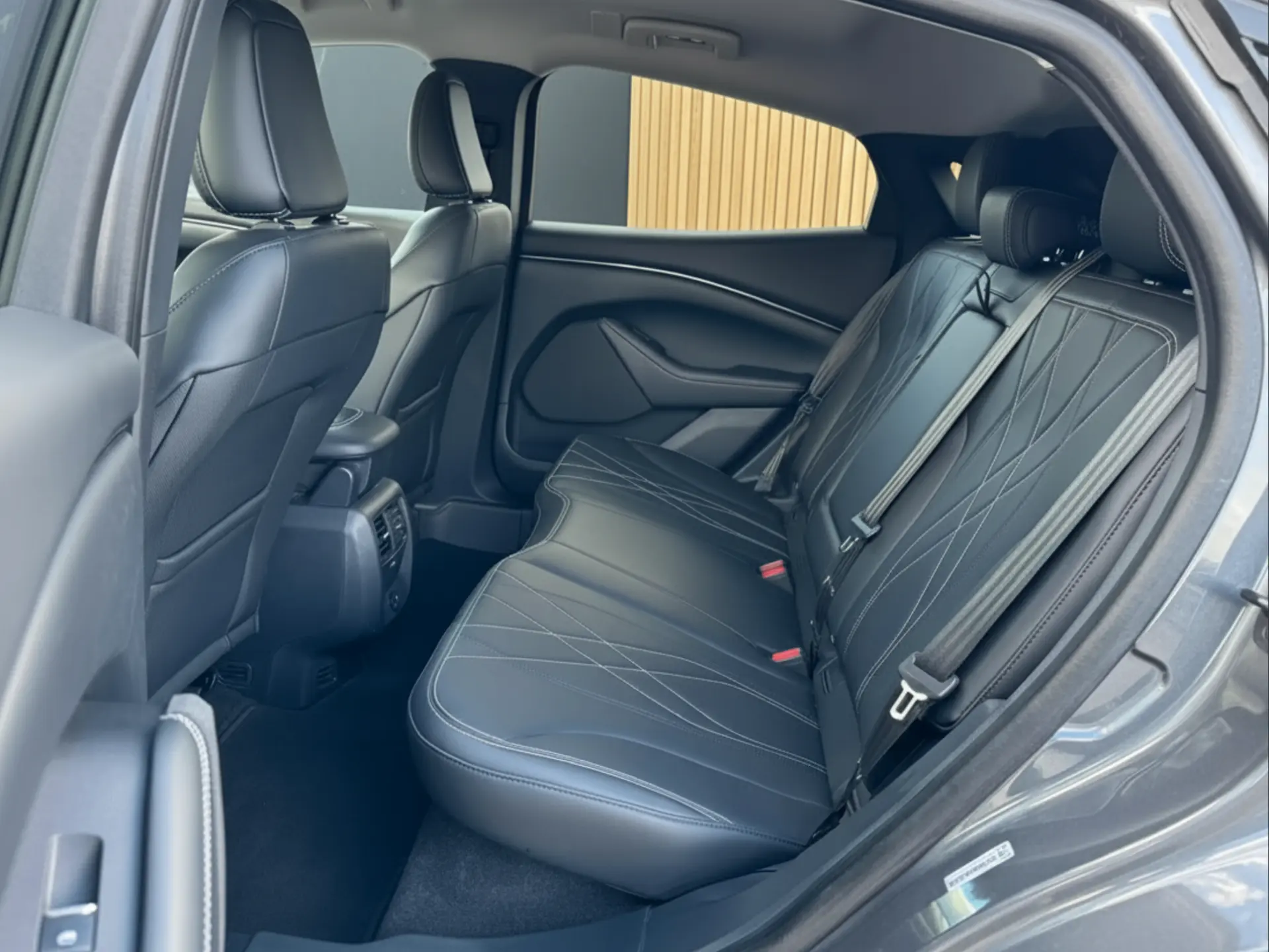 Ford Mustang Mach-E Standard 11