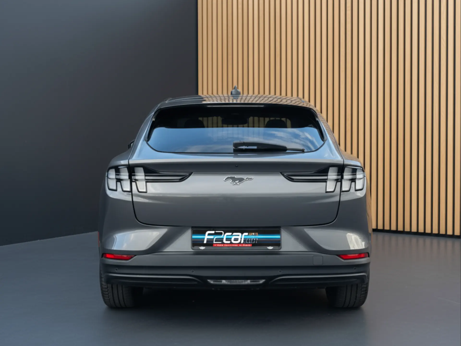 Ford Mustang Mach-E Standard 5