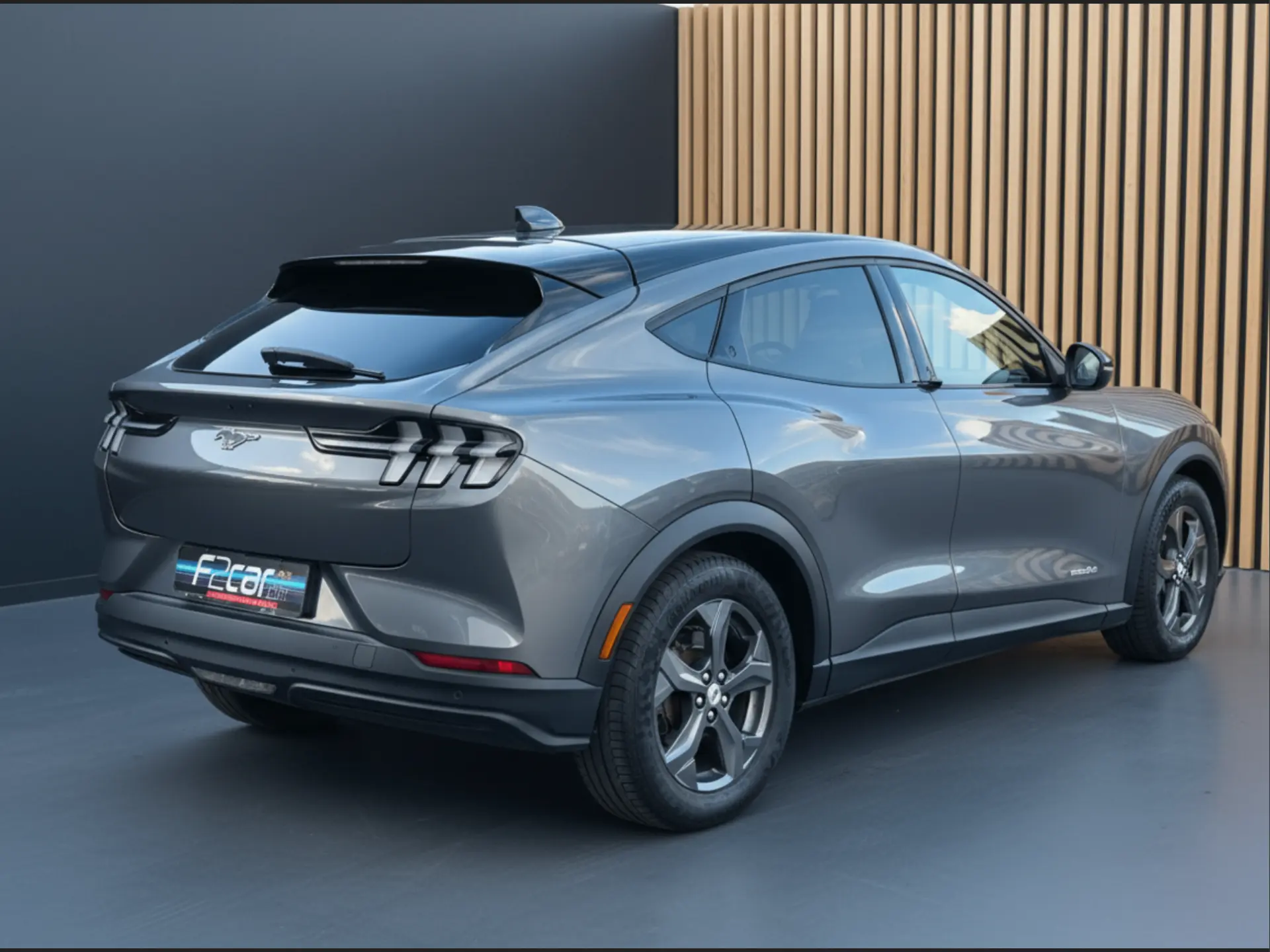 Ford Mustang Mach-E Standard 4