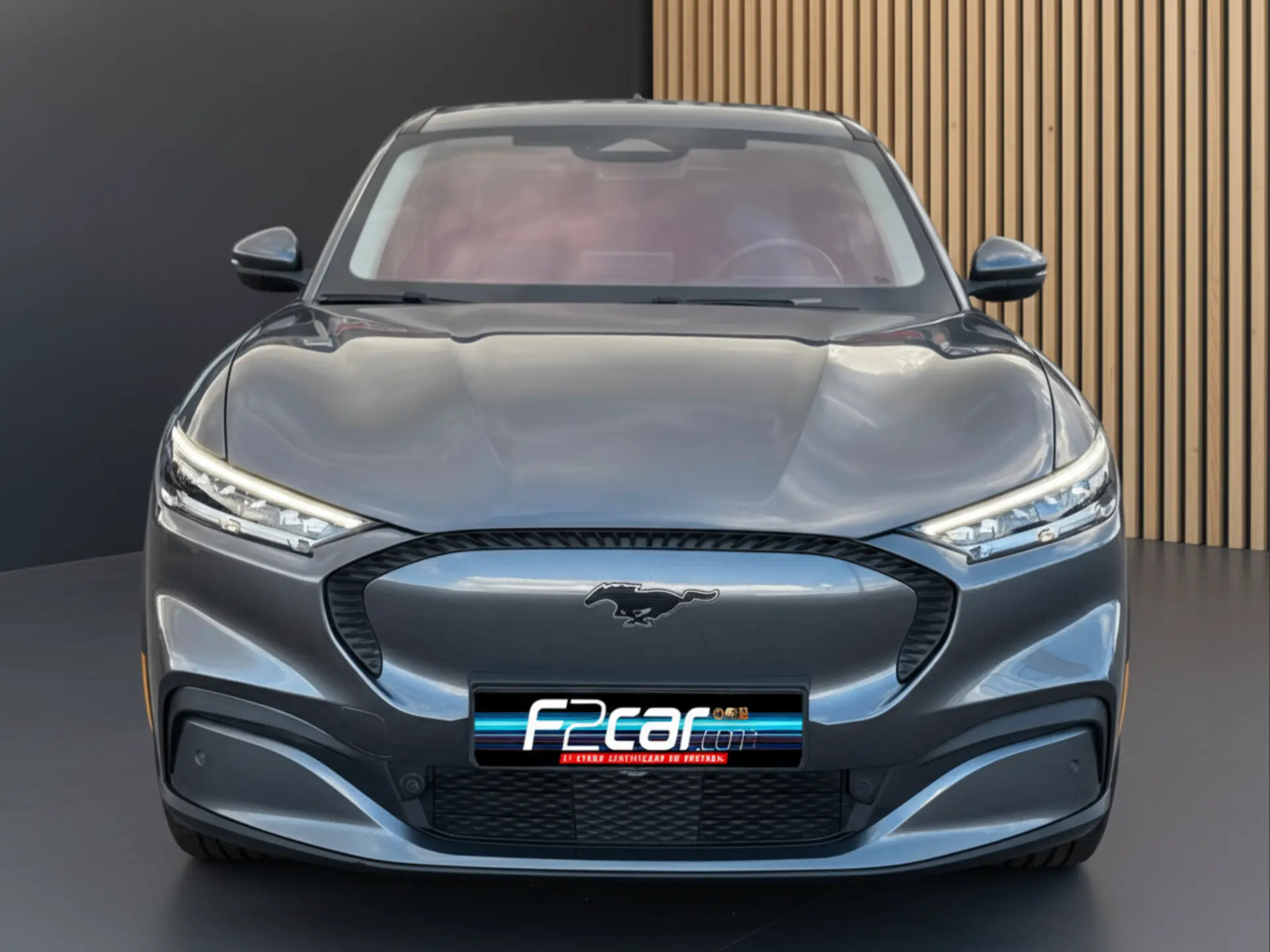 Ford Mustang Mach-E Standard 2