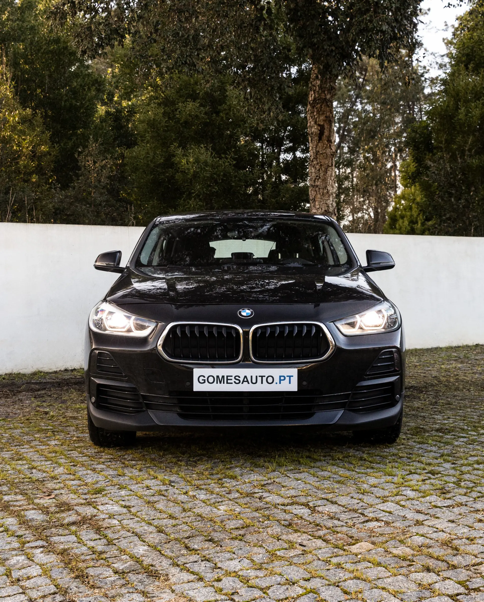 BMW X2 25 e xDrive 3