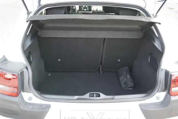 Citroën C4 Cactus 1.6 BlueHDi Shine 13