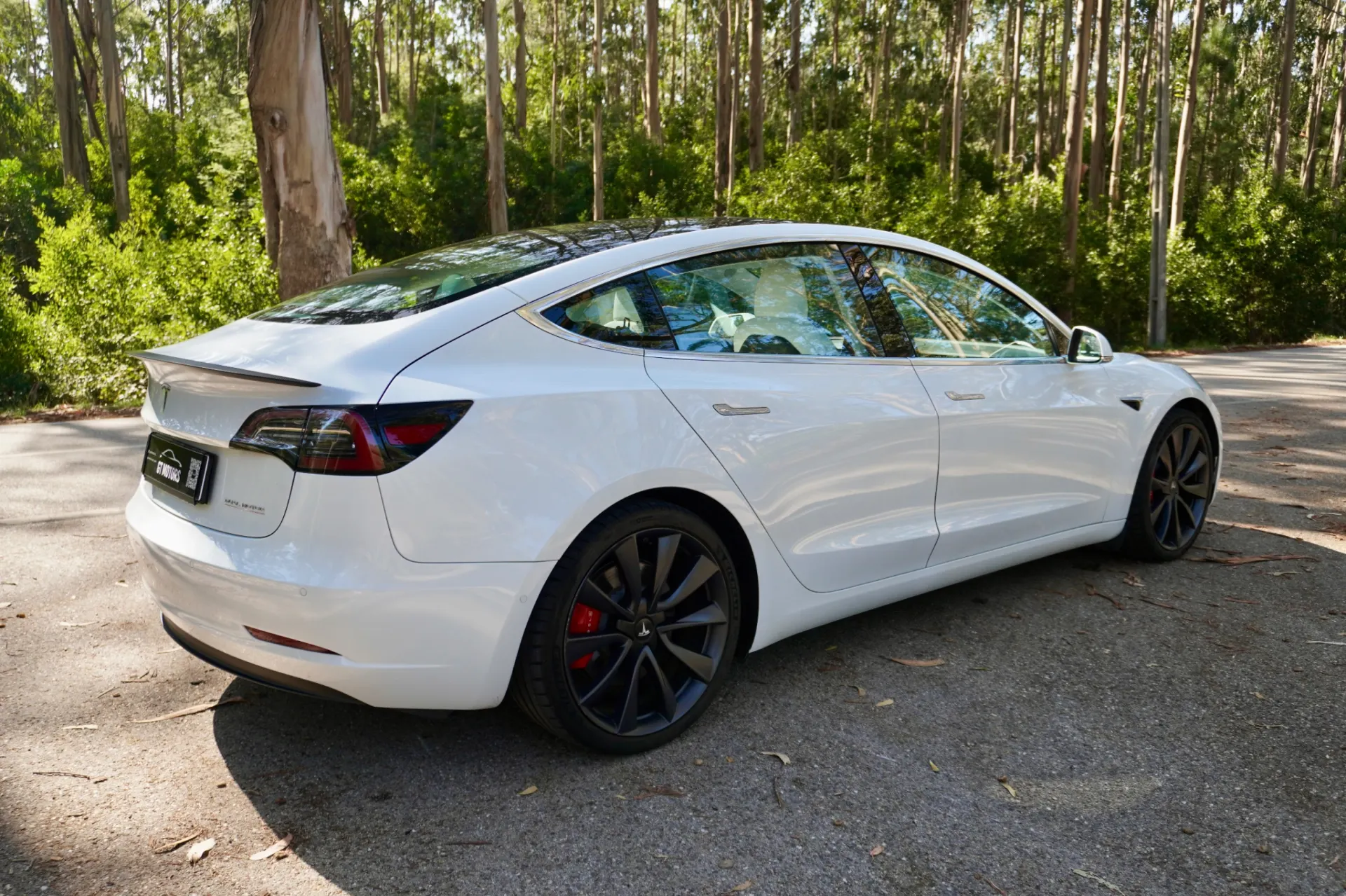 Tesla Model 3 Performance Dual Motor AWD 6