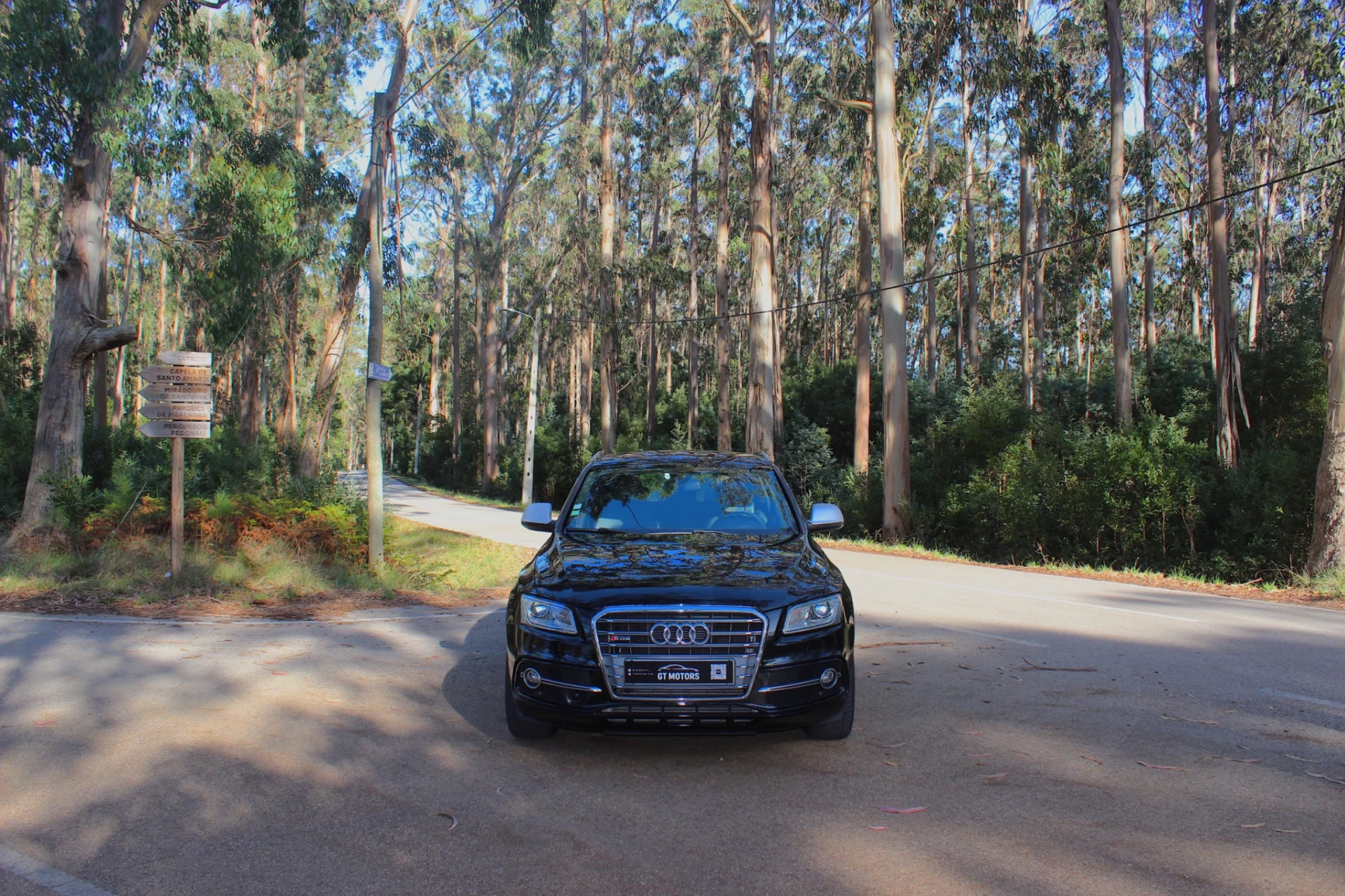 Audi SQ5 3.0 TDi quattro Tiptronic 6