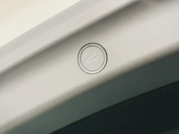 Tesla Model Y Performance 16