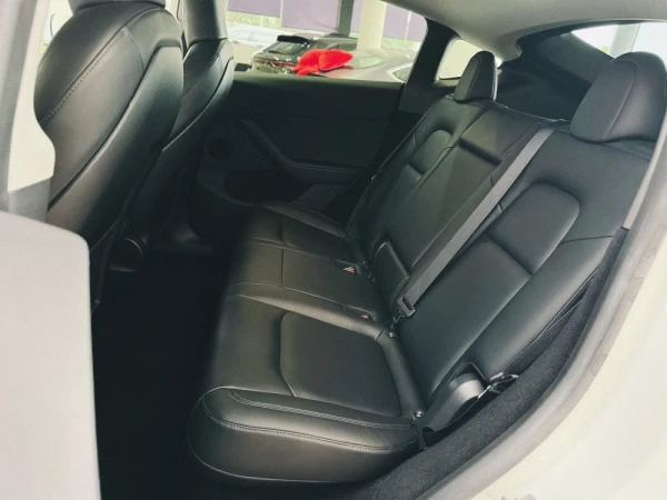 Tesla Model Y Performance 10