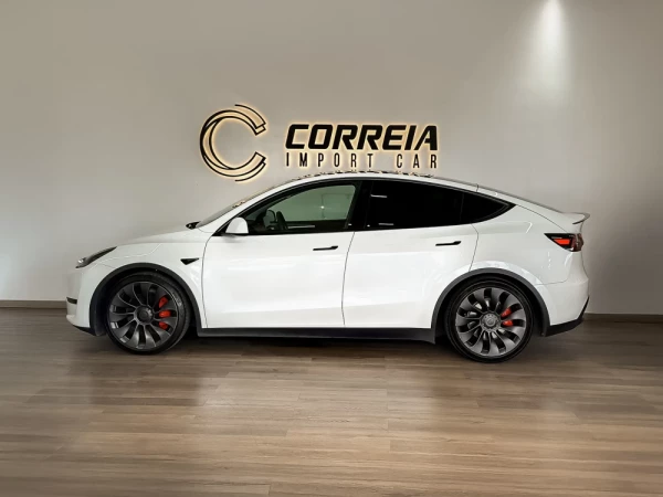 Tesla Model Y Performance 6