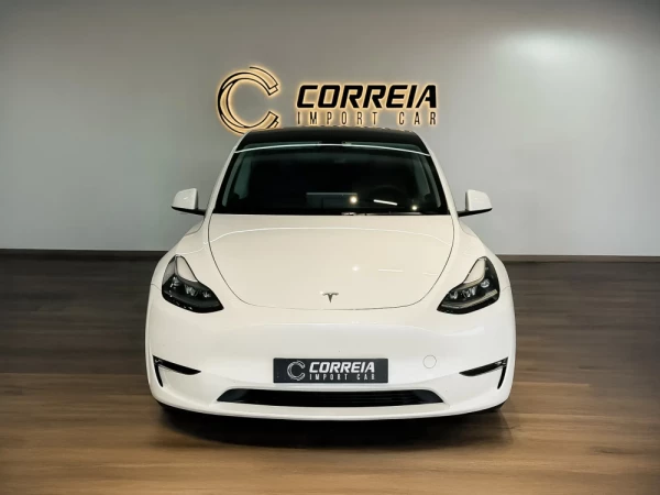 Tesla Model Y Performance 2