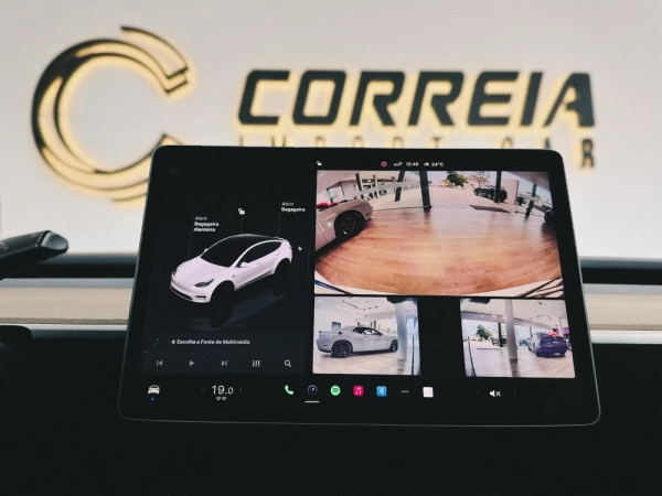 Tesla Model Y Performance 13