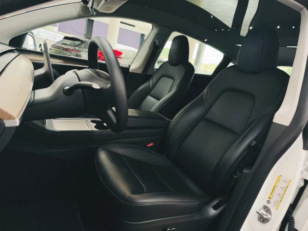 Tesla Model Y Performance 9